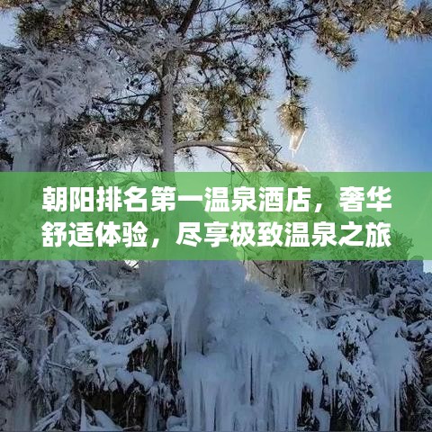 朝陽排名第一溫泉酒店，奢華舒適體驗，盡享極致溫泉之旅