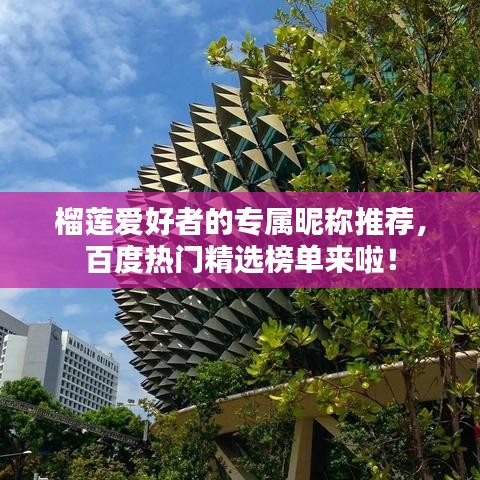榴蓮愛好者的專屬昵稱推薦，百度熱門精選榜單來啦！