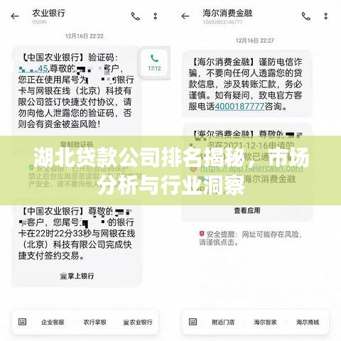 湖北貸款公司排名揭秘，市場分析與行業(yè)洞察