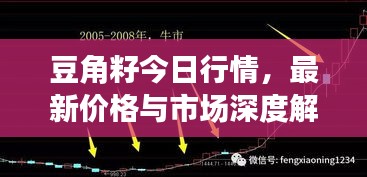 豆角籽今日行情，最新價格與市場深度解析