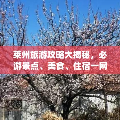 萊州旅游攻略大揭秘，必游景點(diǎn)、美食、住宿一網(wǎng)打盡！