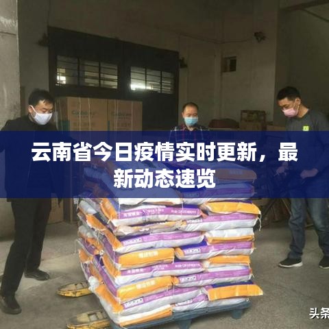 云南省今日疫情實(shí)時(shí)更新，最新動(dòng)態(tài)速覽