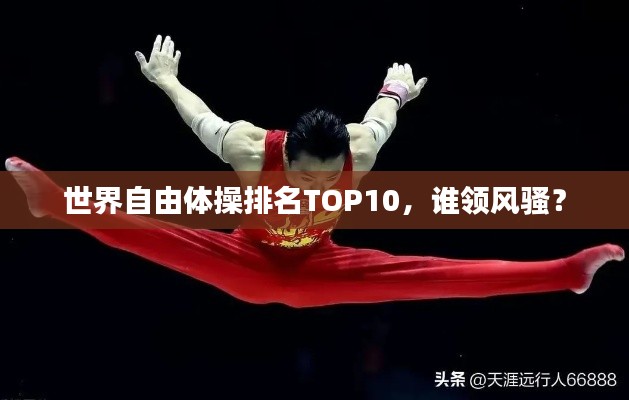 世界自由體操排名TOP10，誰領風騷？
