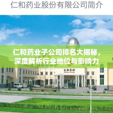 仁和藥業(yè)子公司排名大揭秘，深度解析行業(yè)地位與影響力