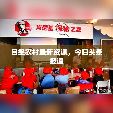 呂梁農(nóng)村最新資訊，今日頭條報道