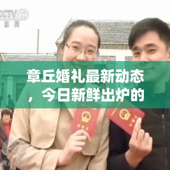 章丘婚禮最新動(dòng)態(tài)，今日新鮮出爐的婚禮消息匯總