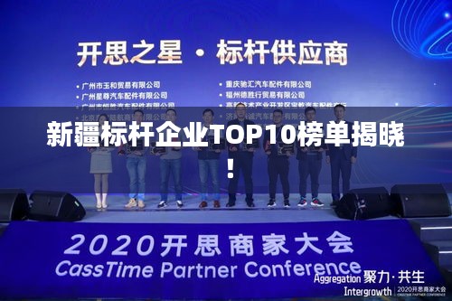 新疆標桿企業(yè)TOP10榜單揭曉！