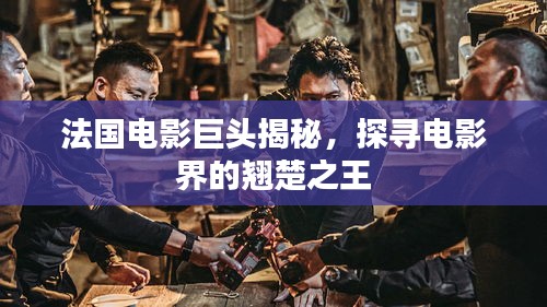 法國電影巨頭揭秘，探尋電影界的翹楚之王
