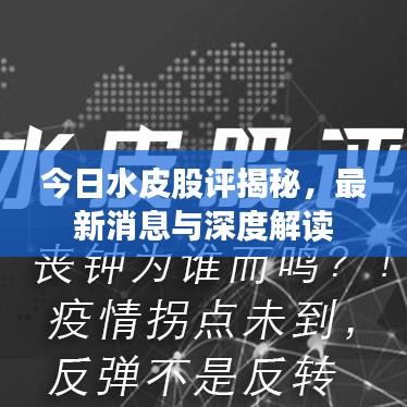 今日水皮股評(píng)揭秘，最新消息與深度解讀