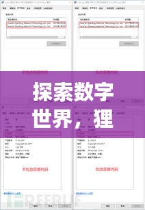 探索數(shù)字世界，貍窩下載器助你輕松百度暢游