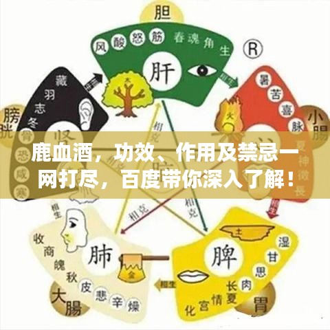 鹿血酒，功效、作用及禁忌一網(wǎng)打盡，百度帶你深入了解！