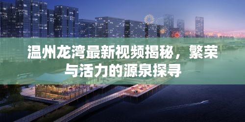 溫州龍灣最新視頻揭秘，繁榮與活力的源泉探尋