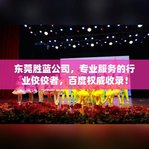 東莞勝藍(lán)公司，專業(yè)服務(wù)的行業(yè)佼佼者，百度權(quán)威收錄！