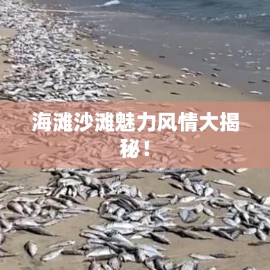 海灘沙灘魅力風(fēng)情大揭秘！