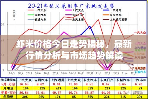 蝦米價(jià)格今日走勢揭秘，最新行情分析與市場趨勢解讀