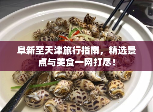 阜新至天津旅行指南，精選景點與美食一網(wǎng)打盡！