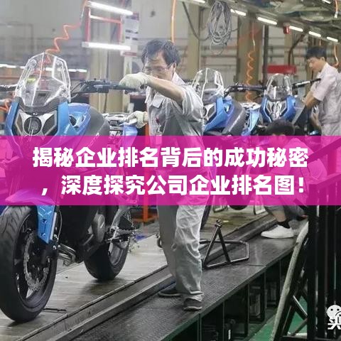 揭秘企業(yè)排名背后的成功秘密，深度探究公司企業(yè)排名圖！