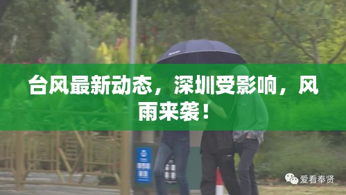 臺(tái)風(fēng)最新動(dòng)態(tài)，深圳受影響，風(fēng)雨來襲！