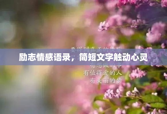 勵志情感語錄，簡短文字觸動心靈
