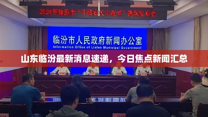 山東臨汾最新消息速遞，今日焦點新聞匯總