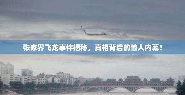 張家界飛龍事件揭秘，真相背后的驚人內(nèi)幕！