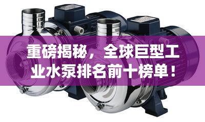 重磅揭秘，全球巨型工業(yè)水泵排名前十榜單！