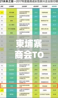 柬埔寨商會TOP10榜單揭曉，揭秘排名前十的商會！