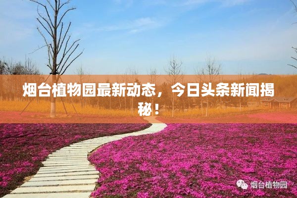 煙臺植物園最新動態(tài)，今日頭條新聞揭秘！