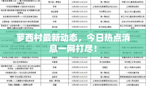 蘿西村最新動態(tài)，今日熱點消息一網(wǎng)打盡！