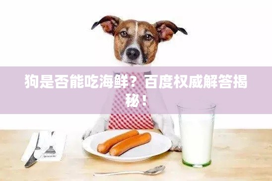 狗是否能吃海鮮？百度權(quán)威解答揭秘！