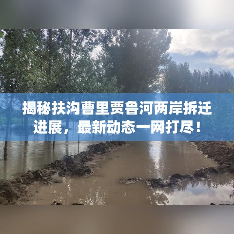 揭秘扶溝曹里賈魯河兩岸拆遷進展，最新動態(tài)一網打盡！