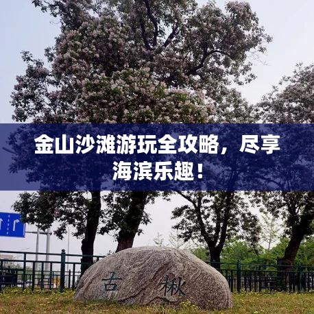 金山沙灘游玩全攻略，盡享海濱樂趣！