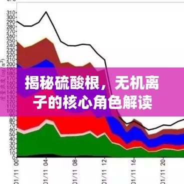 揭秘硫酸根，無機離子的核心角色解讀