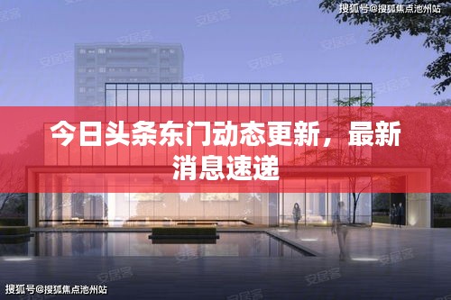 今日頭條東門動態(tài)更新，最新消息速遞