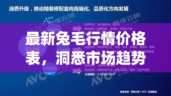 最新兔毛行情價(jià)格表，洞悉市場(chǎng)趨勢(shì)，把握行業(yè)脈動(dòng)