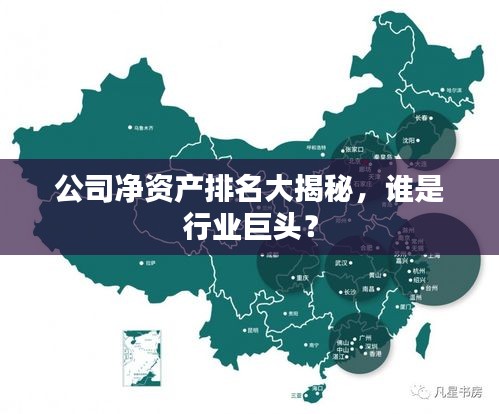 公司凈資產(chǎn)排名大揭秘，誰是行業(yè)巨頭？