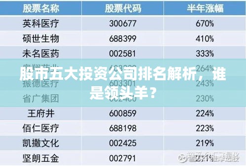 股市五大投資公司排名解析，誰是領頭羊？