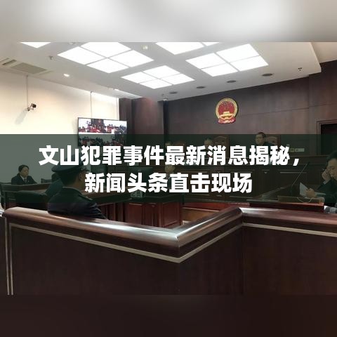 文山犯罪事件最新消息揭秘，新聞?lì)^條直擊現(xiàn)場(chǎng)
