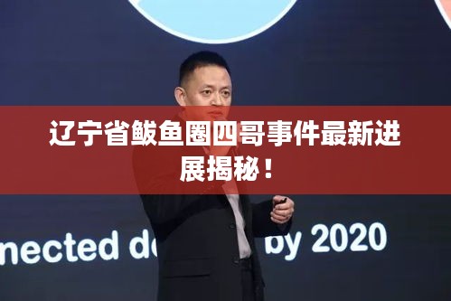 遼寧省鲅魚圈四哥事件最新進(jìn)展揭秘！
