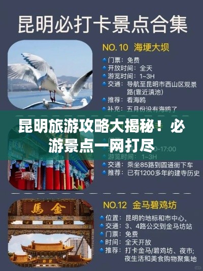 昆明旅游攻略大揭秘！必游景點(diǎn)一網(wǎng)打盡
