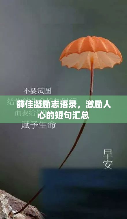 薛佳凝勵志語錄，激勵人心的短句匯總
