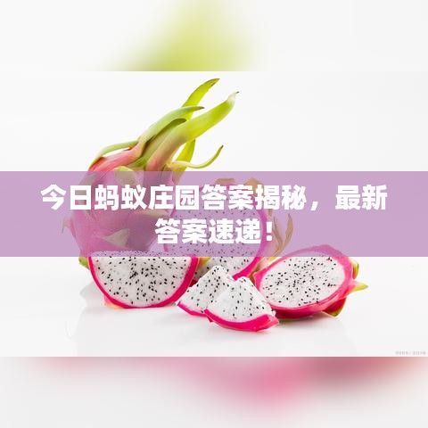 今日螞蟻莊園答案揭秘，最新答案速遞！