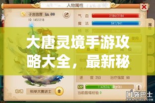 大唐靈境手游攻略大全，最新秘籍揭秘！