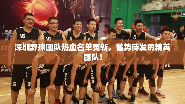 深圳野球團(tuán)隊(duì)熱血名單更新，蓄勢(shì)待發(fā)的精英團(tuán)隊(duì)！