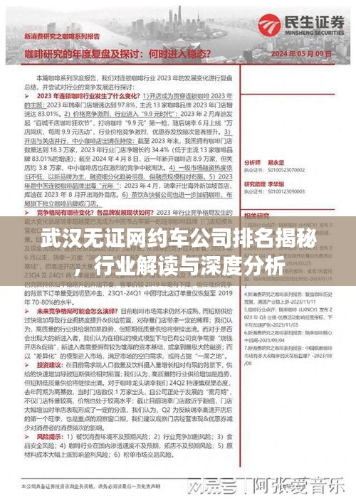 武漢無(wú)證網(wǎng)約車(chē)公司排名揭秘，行業(yè)解讀與深度分析