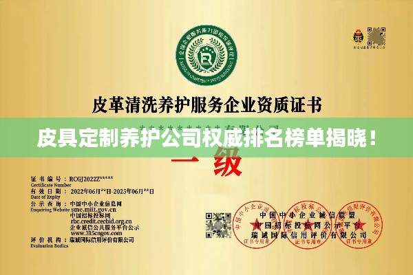 皮具定制養(yǎng)護公司權威排名榜單揭曉！