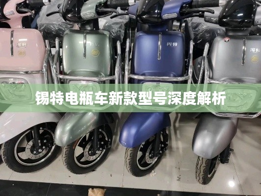 錫特電瓶車新款型號(hào)深度解析