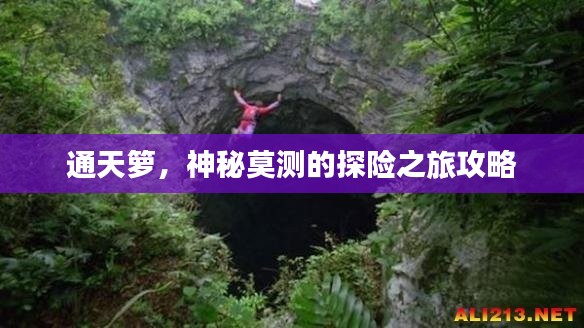 通天籮，神秘莫測(cè)的探險(xiǎn)之旅攻略