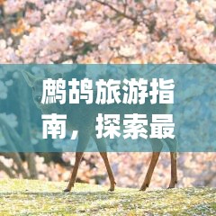 寧靜致遠(yuǎn) 第2頁