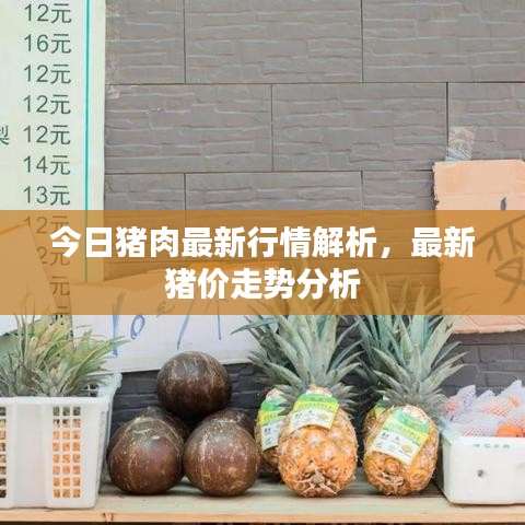 今日豬肉最新行情解析，最新豬價走勢分析